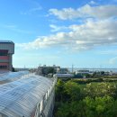 솔라티펜션 이미지