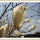 은하초등학교 이미지