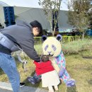 뽑기나라 | 18개월 2살 아기 레고랜드 후기 뽕뽑기 팁, 할로윈