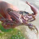 바다위에 Daum카페