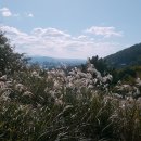 사라봉 (사라봉오거리방면) 이미지