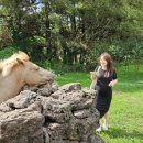 만기목장 이미지