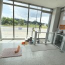 이쁘게 잘라줄개 이미지