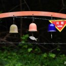 두타연이목정관광안내소 이미지