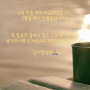 리영에스테틱 - 시흥시 | 리영에스테틱