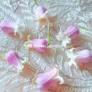 핑크퍼피 이미지