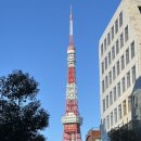 서울투어리스트호텔(SEOUL TOURIST HOTEL) | 도쿄여행 코스 맛집 쇼핑리스트 옷 브랜드 추천