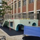 대전대양초교 이미지