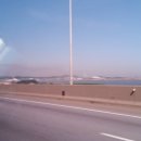 장고항바다 좌대낚시터 이미지