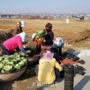 온양4동 실옥로 이미지