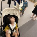 채원목장 이미지