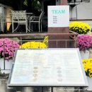 TEAM | 전주 맛집 여행 전북대 맛집 분위기갑 원조 레스토랑 팀 TEAM