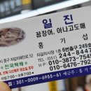 일진상회 이미지