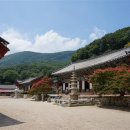 선운사