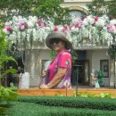 용인 everland &amp; safari (2015. 08.14) 이미지