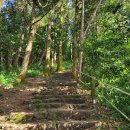 저지오름주차장 이미지