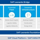 With Peopl 이미지