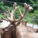 상남어린이집 이미지