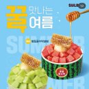 설빙울산 | 울산 호계 설빙 추천메뉴 | 요거치즈멜론설빙 내돈내산 후기