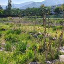 승선 행정사 사무소 이미지