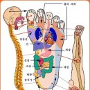 지압 - 집에서 혼자 발지압하는 방법 이미지