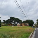 상정경로당 | [천안둘레길] 풍세 청룡산 숲길을 걷다