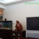 늘푸른 민박 이미지