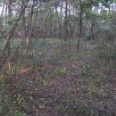 서천남산성 이미지