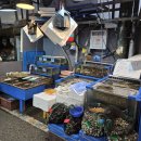 송화벽화시장 | 화곡동 시장/맛집] 겨울 먹거리 정복! 우장산역 송화벽화시장 방문기 🍓🐟 (ft. 제철 대방어, 딸기, 빵집)