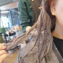 경성대 미용실 신길이네미장원 경성대점 모완염색 애쉬그레이 후기