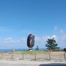 신평2동우체국 앞 교통섬2 내 | 울산남구 협약 울릉크루즈 1박2일 패키지 최고....♥