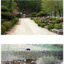 금강송계곡민박 이미지