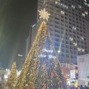 축제 | [부산] 해운대 연말 분위기 즐기기 _ 해운대 빛축제 후기