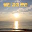 새남면집