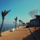 잠실 제2수영장 체육공원 파크골프장앞 | 인천 오션뷰 글램핑 숙소 추천! 바베큐부터 수영장까지 대만족 : 선재담글램핑&amp;카라반리조트