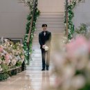 더마레보
