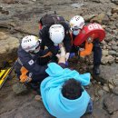 서천소방서-70 이미지