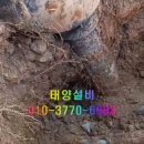 태양설비공사 이미지