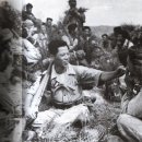 1945년 - 1960년 한국 경찰 역사 이미지