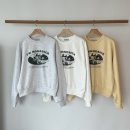 거래처세일)LH.홈시크맨투맨 그레이, 아이보리, 옐로우 18,000 이미지