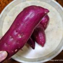 아어가지 이미지