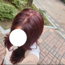 레드쿨헤어 | 청라 미용실 카이정헤어 청라 탈색 없이 쿨레드 염색 후기 / 린 디자이너