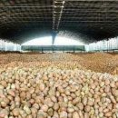 과반농장 이미지