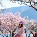 꽃나루공원 이미지