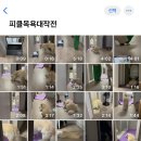 놀로동물행동클리닉 이미지