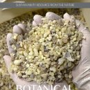 레메디움 이미지