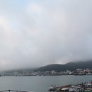 완도항구 이미지