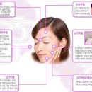 정안테라피 이미지