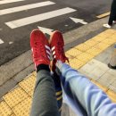 스튜디오 베스트 | 제주도 스튜디오 웨딩촬영 하다갤러리 베스트컷 공개｜원본 셀렉 후기