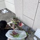 제희농장 이미지